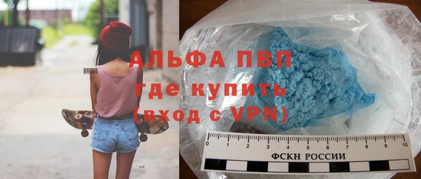 СК Инта