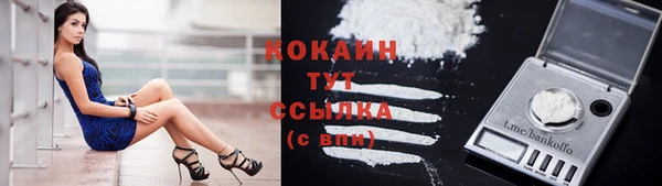 jwh Инсар