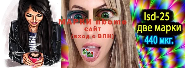 СК Инта