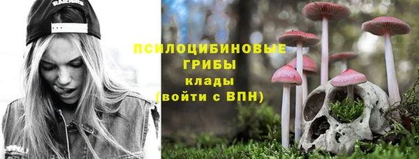 СК Инта