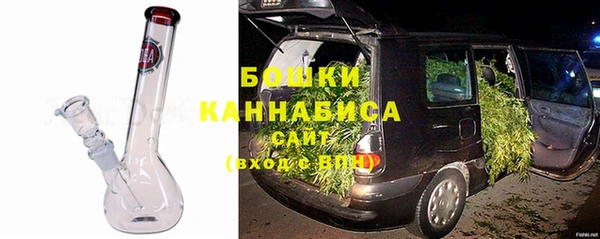 СК Инта